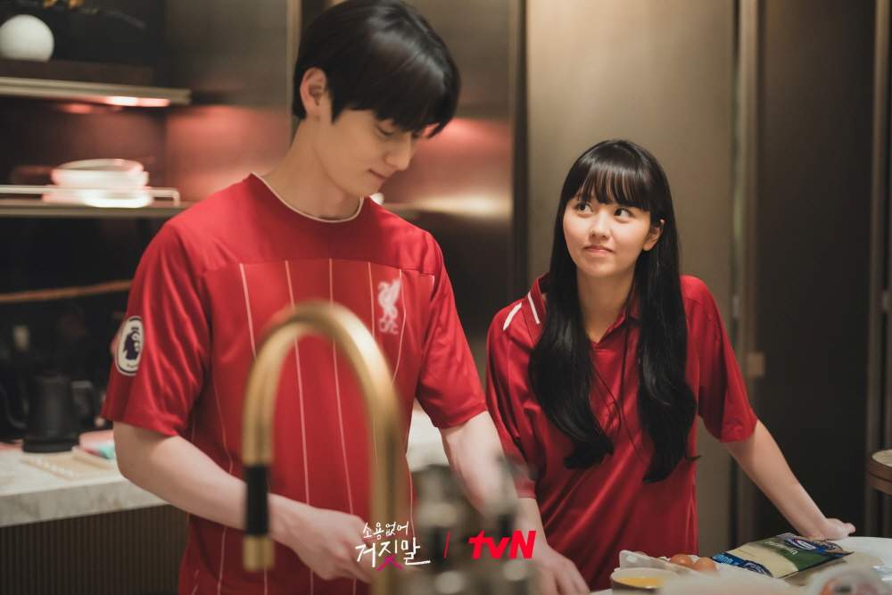 nonton streaming download drakorindo my lovely liar sub indo viu