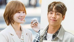 nonton streaming download drakorindo a good day to be a dog sub indo viu