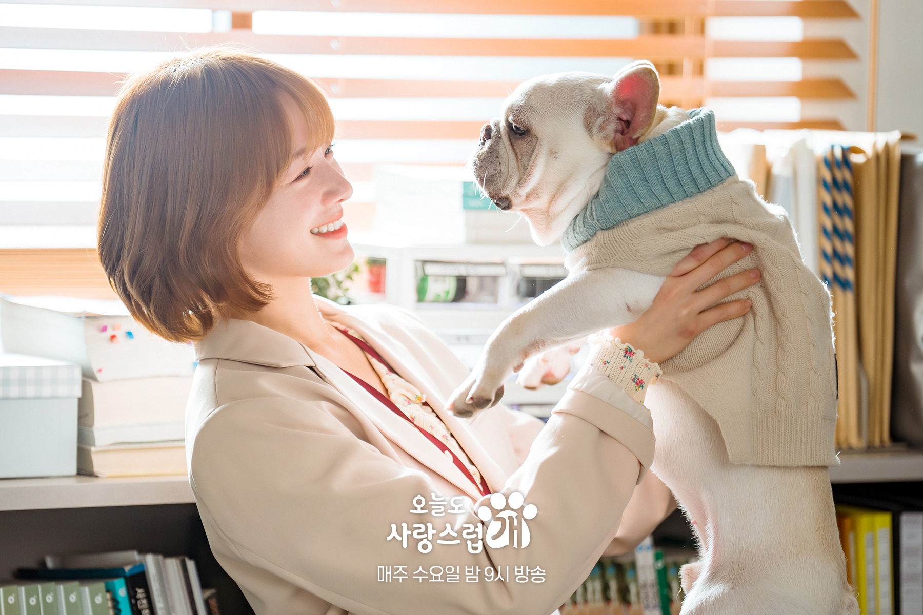 nonton streaming download drakorindo a good day to be a dog sub indo viu