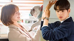 nonton streaming download drakorindo a good day to be a dog sub indo viu