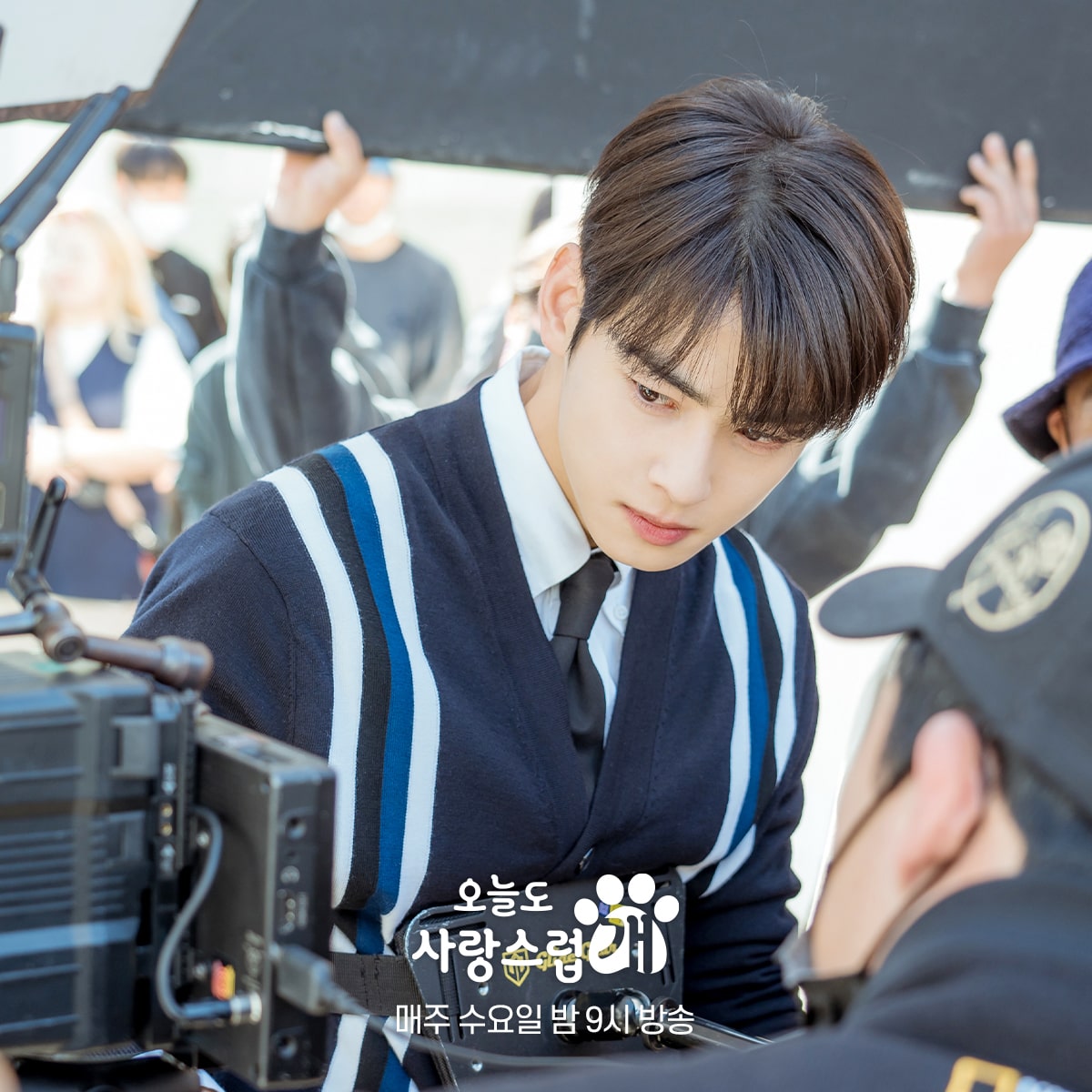 nonton streaming download drakorindo a good day to be a dog sub indo viu