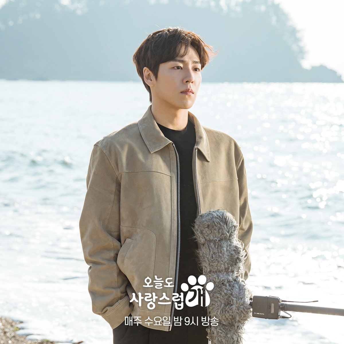 nonton streaming download drakorindo a good day to be a dog sub indo viu