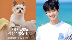 nonton streaming download drakorindo a good day to be a dog sub indo viu