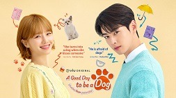 nonton streaming download drakorindo a good day to be a dog sub indo viu