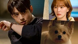 nonton streaming download drakorindo a good day to be a dog sub indo viu