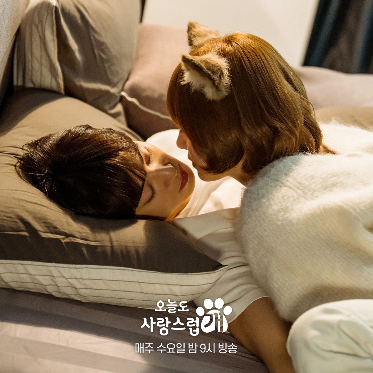 nonton streaming download drakorindo a good day to be a dog sub indo viu
