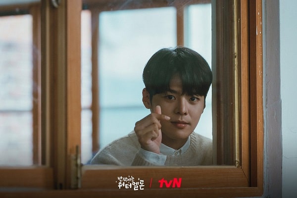 nonton streaming download drakorindo twinkling watermelon sub indo viu
