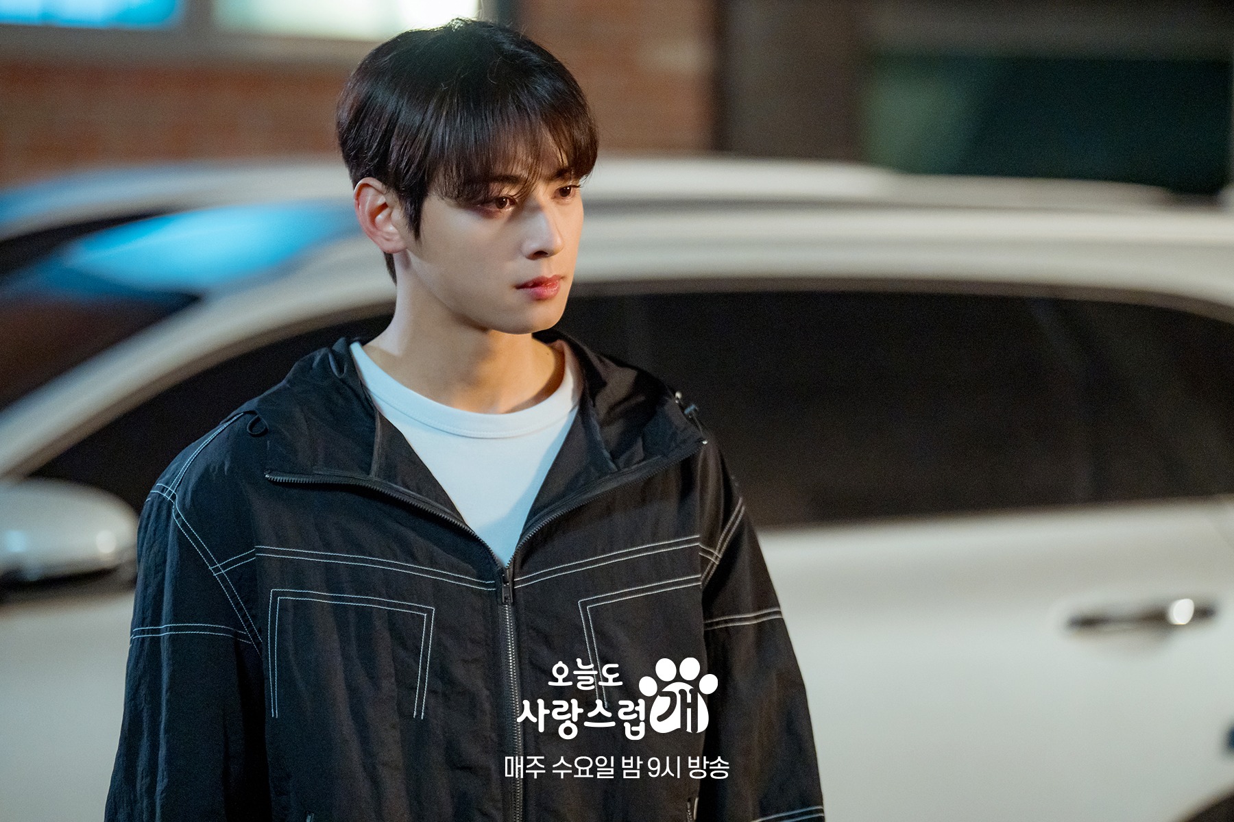 nonton streaming download drakorindo a good day to be a dog sub indo viu
