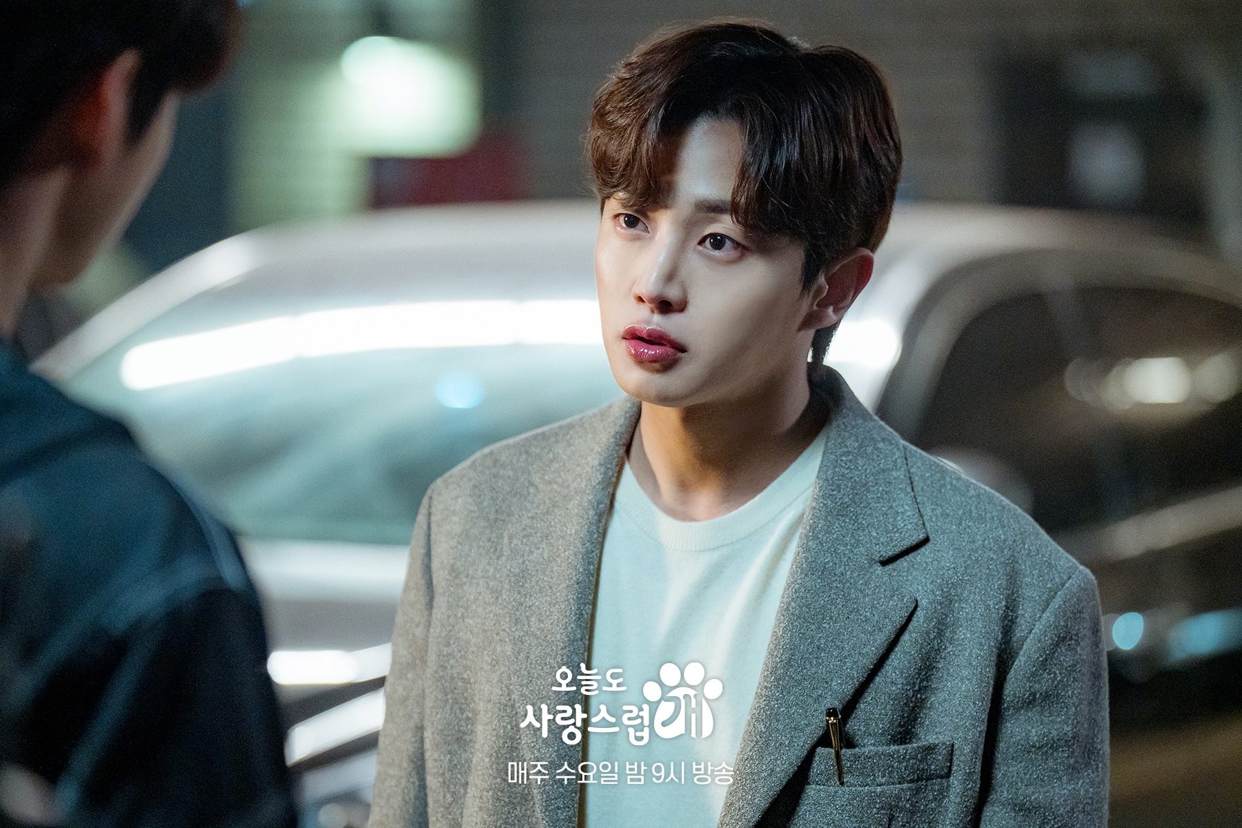 nonton streaming download drakorindo a good day to be a dog sub indo viu