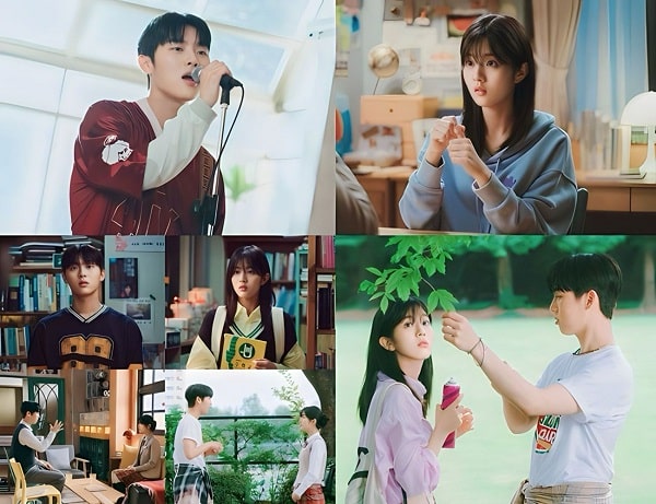 nonton streaming download drakorindo twinkling watermelon sub indo viu
