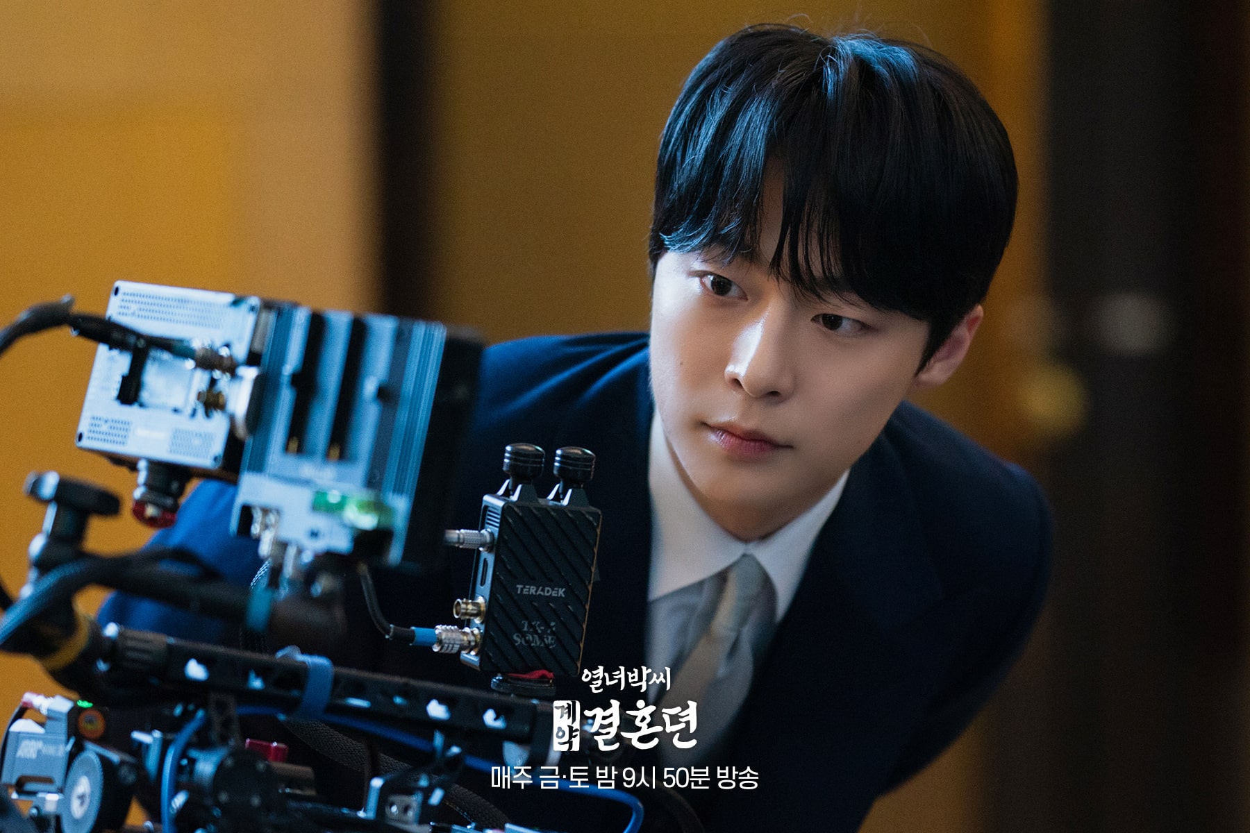nonton streaming download the story of park's marriage contract sub indo viu