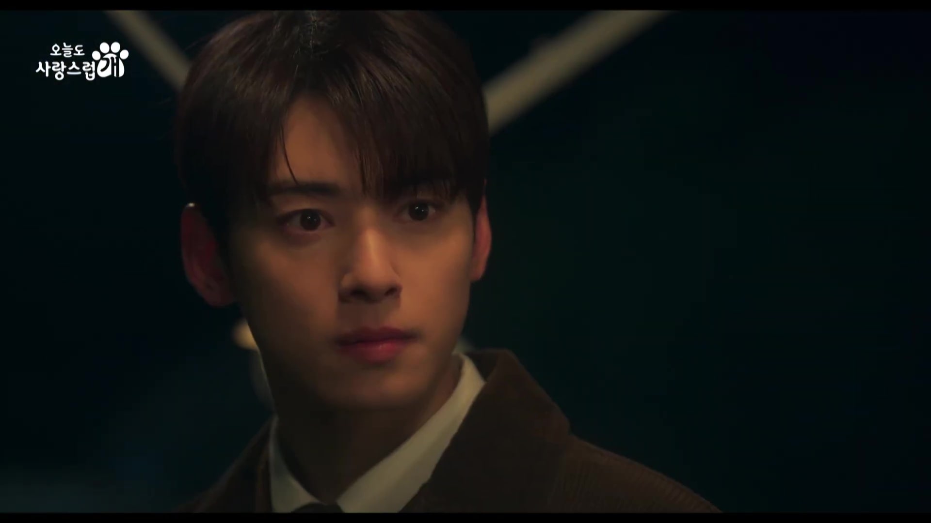 nonton streaming download drakorindo a good day to be a dog sub indo viu