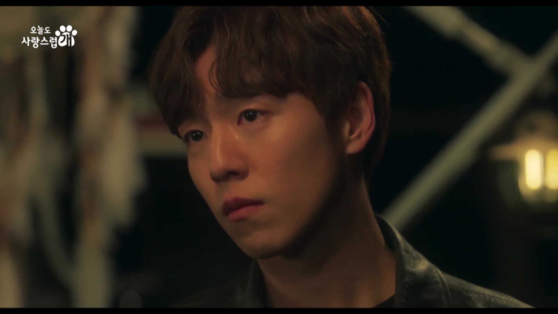 nonton streaming download drakorindo a good day to be a dog sub indo viu
