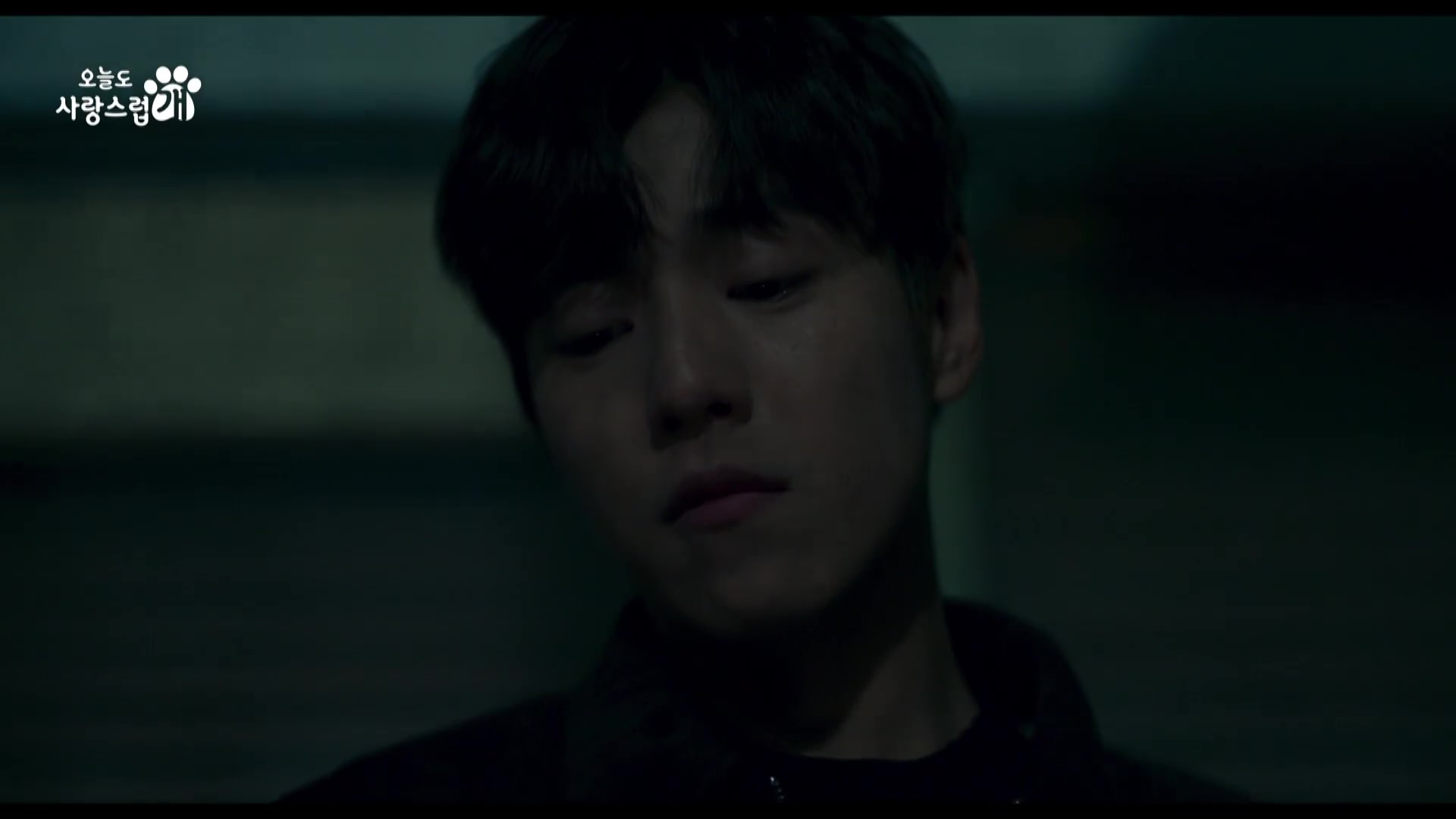 nonton streaming download drakorindo a good day to be a dog sub indo viu