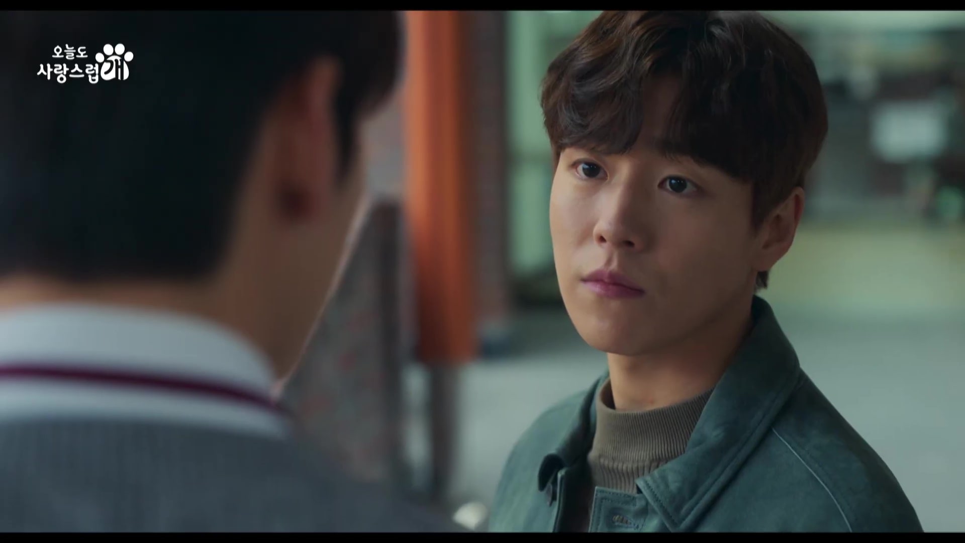 nonton streaming download drakorindo a good day to be a dog sub indo viu