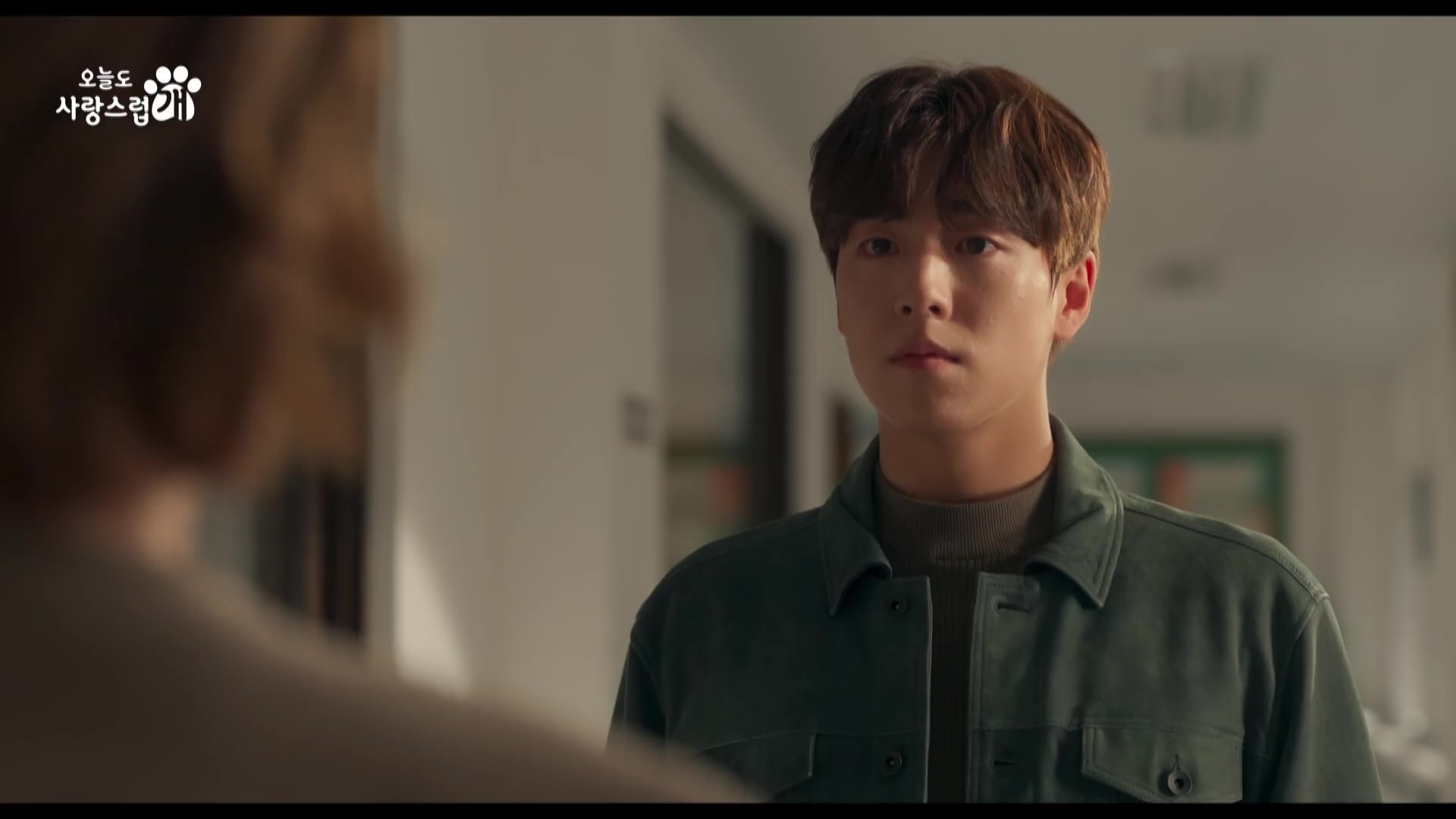 nonton streaming download drakorindo a good day to be a dog sub indo viu