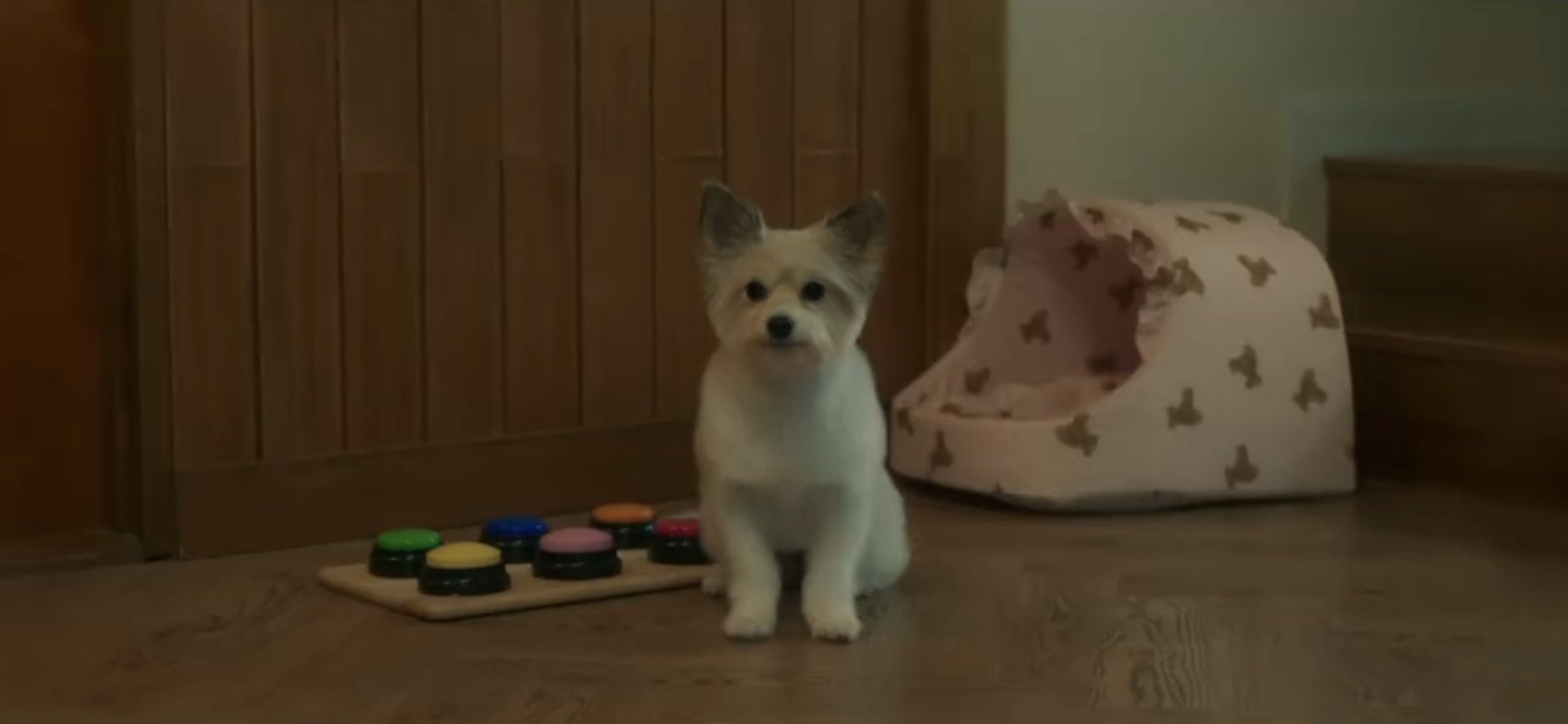 nonton streaming download drakorindo a good day to be a dog sub indo viu