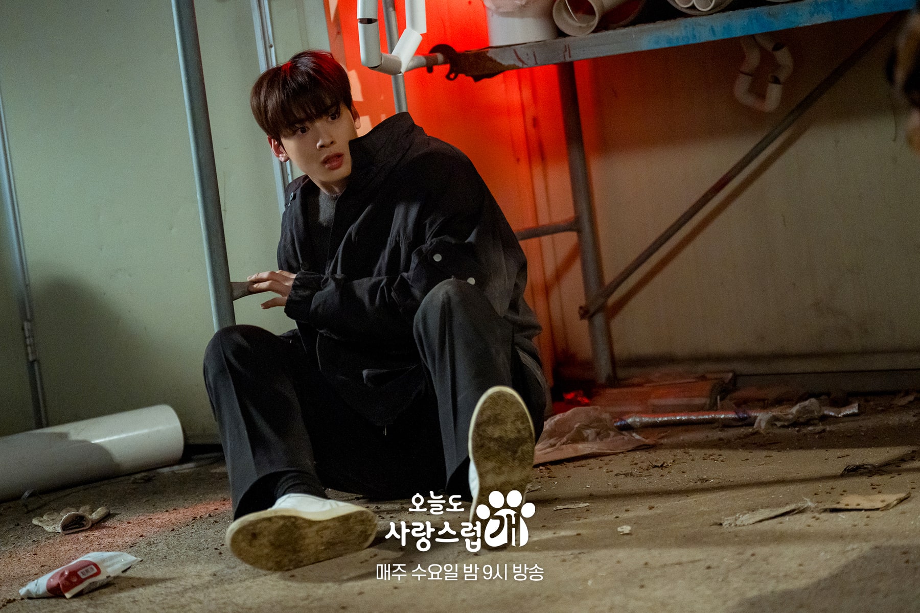 nonton streaming download drakorindo a good day to be a dog sub indo viu