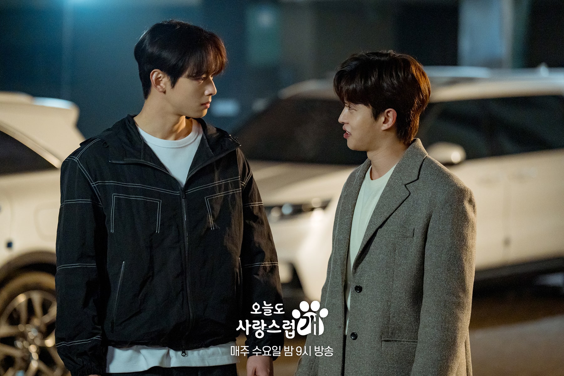 nonton streaming download drakorindo a good day to be a dog sub indo viu