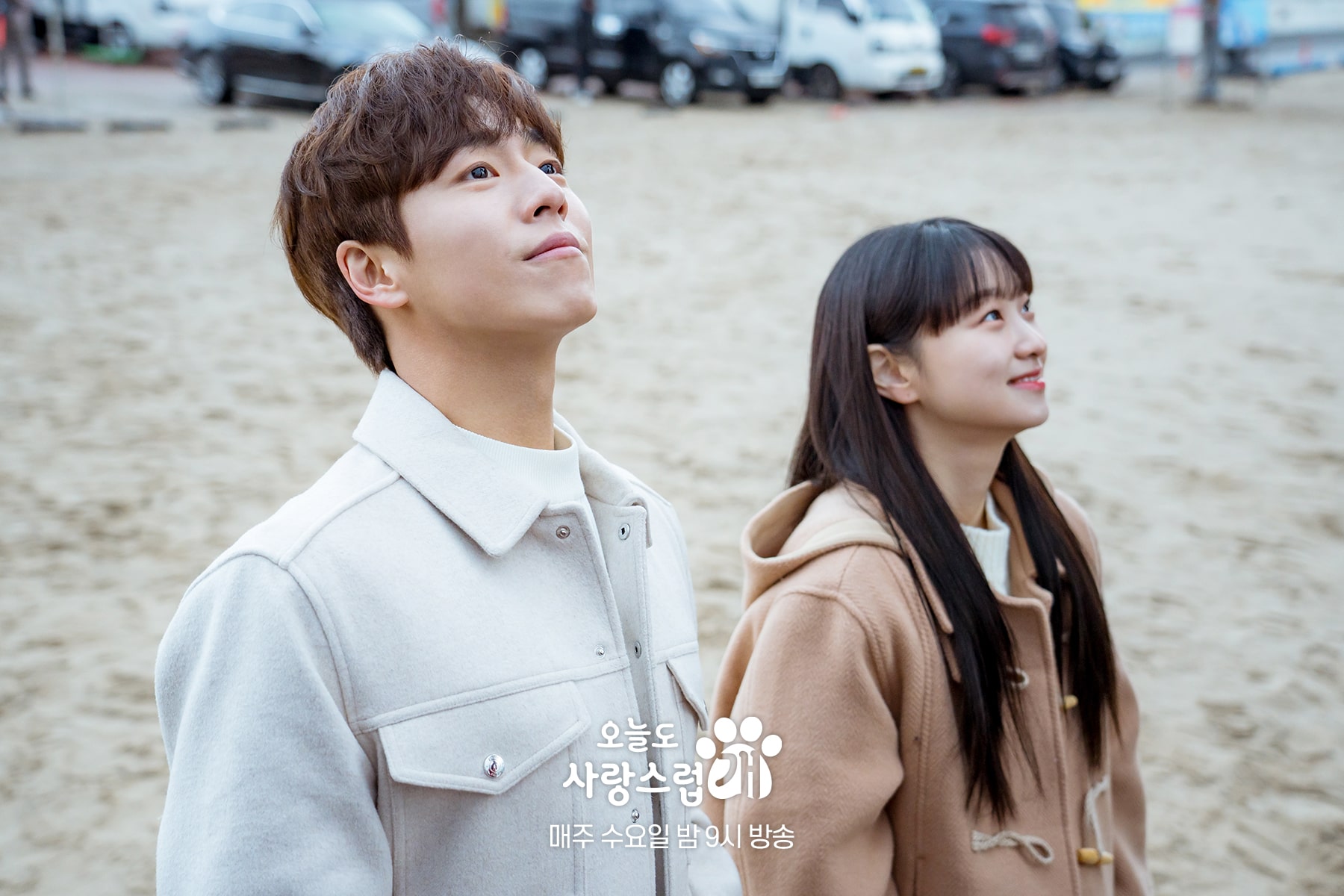 nonton streaming download drakorindo a good day to be a dog sub indo viu
