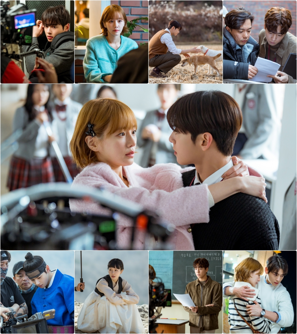 nonton streaming download drakorindo a good day to be a dog sub indo viu