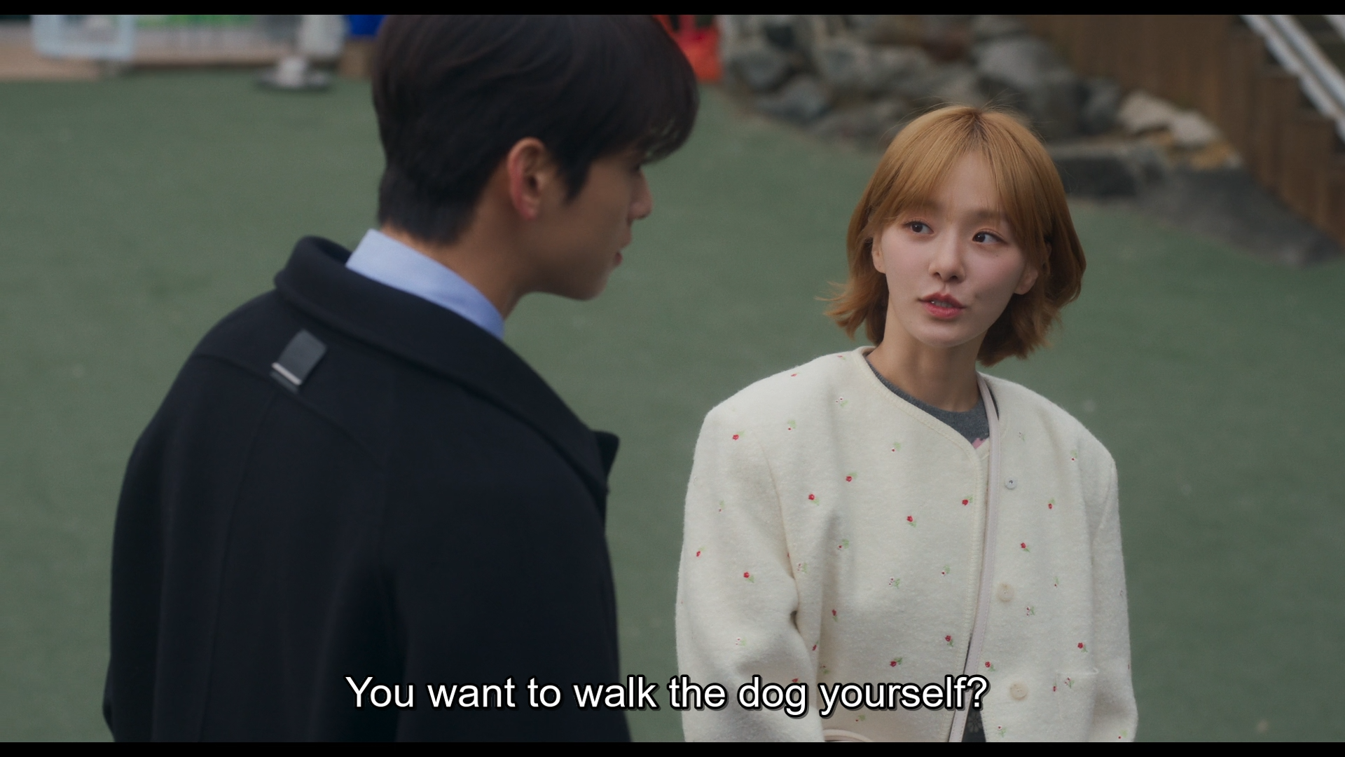 nonton streaming download drakorindo a good day to be a dog sub indo viu