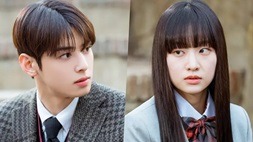 nonton streaming download drakorindo a good day to be a dog sub indo viu