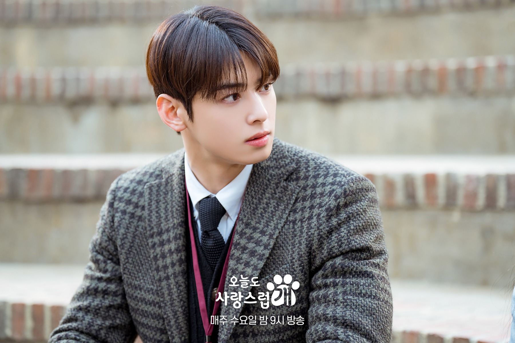 nonton streaming download drakorindo a good day to be a dog sub indo viu