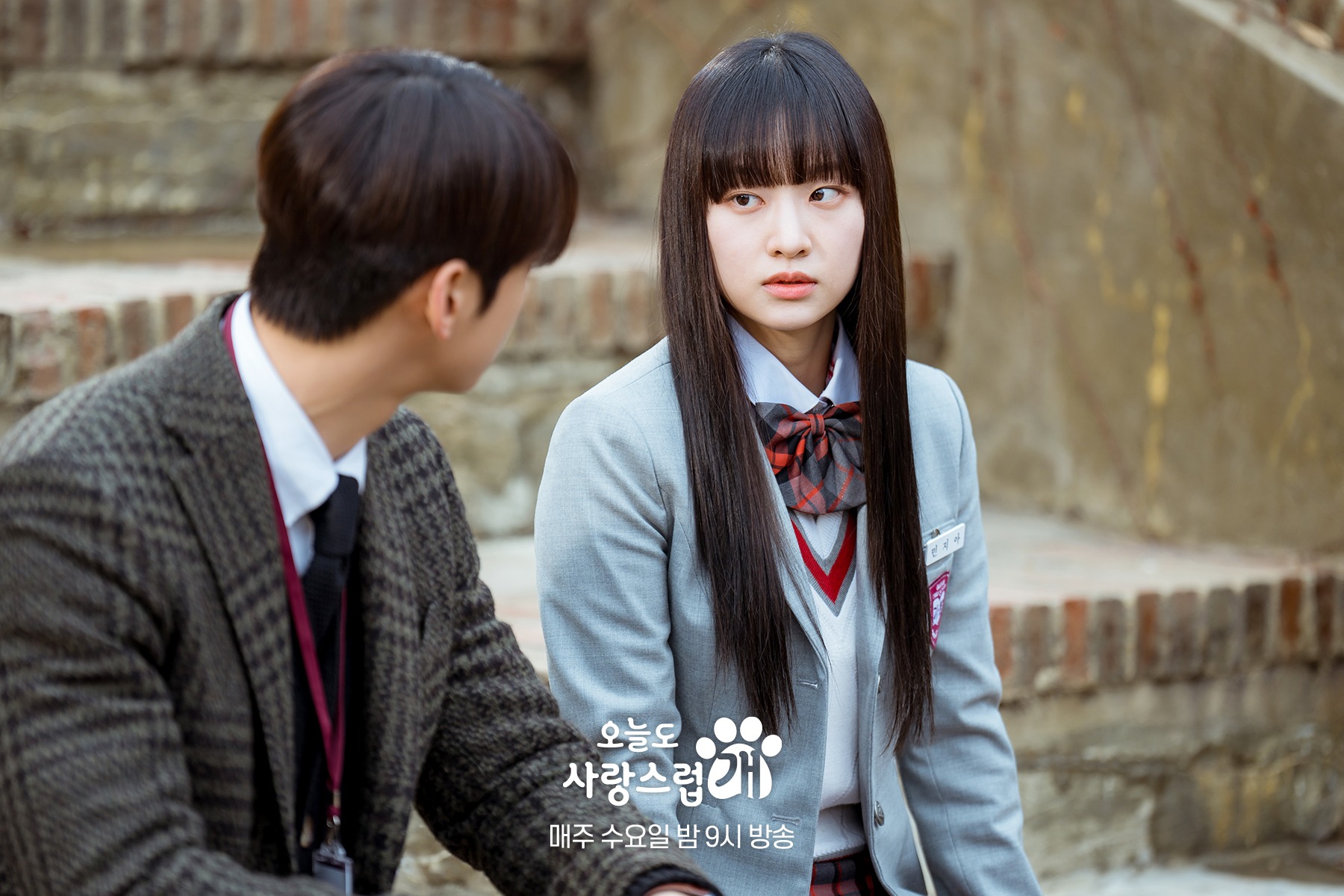 nonton streaming download drakorindo a good day to be a dog sub indo viu