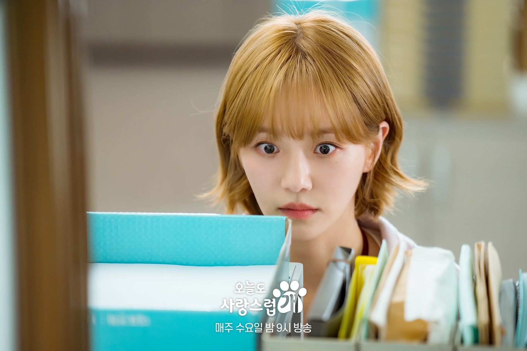 nonton streaming download drakorindo a good day to be a dog sub indo viu