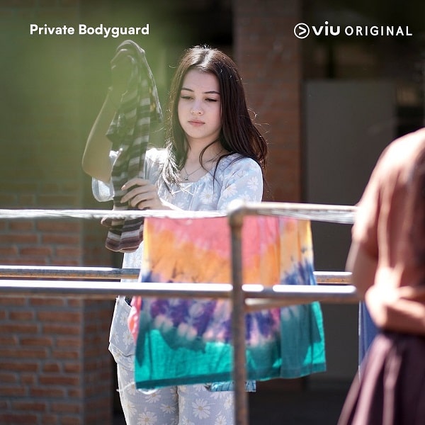 nonton streaming download drama private bodyguard sub indo viu