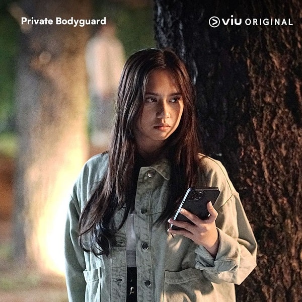nonton streaming download drama private bodyguard sub indo viu