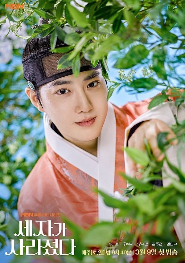 nonton streaming download drakorindo missing crown prince sub indo viu