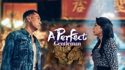 nonton streaming download drakorindo a perfect gentleman sub indo viu