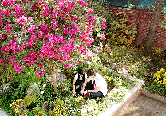 nonton streaming download drakorindo lovely runner sub indo viu