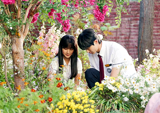 nonton streaming download drakorindo lovely runner sub indo viu