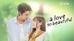 nonton streaming download drama thailand a love so beautiful sub indo viu