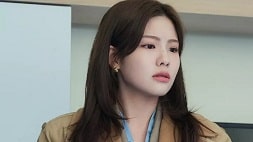 nonton streaming download drakorindo the auditors sub indo viu