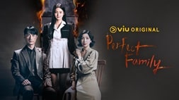 nonton streaming download drakorindo perfect family sub indo viu original