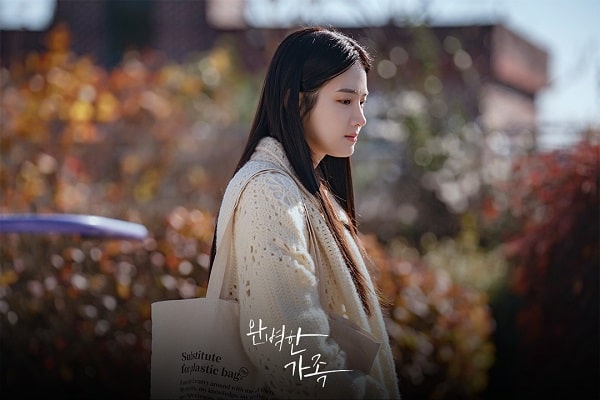 nonton streaming download drakorindo perfect family sub indo viu original