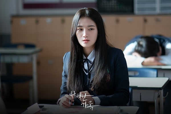 nonton streaming download drakorindo perfect family sub indo viu original