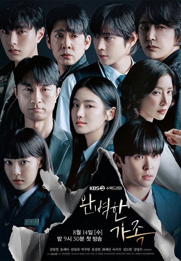 nonton streaming download drakorindo perfect family sub indo viu original