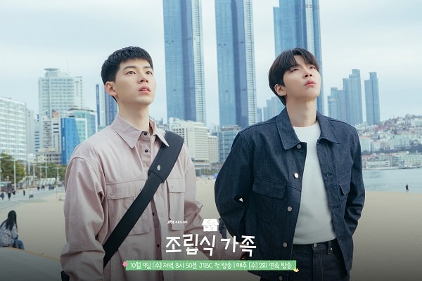 nonton streaming download drakorindo perfect family sub indo viu original