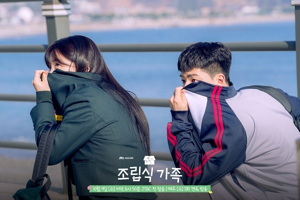 nonton streaming download drakorindo perfect family sub indo viu original