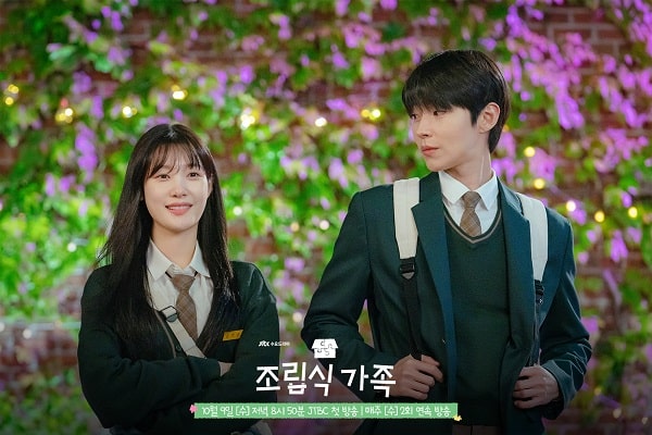 nonton streaming download drakorindo perfect family sub indo viu original