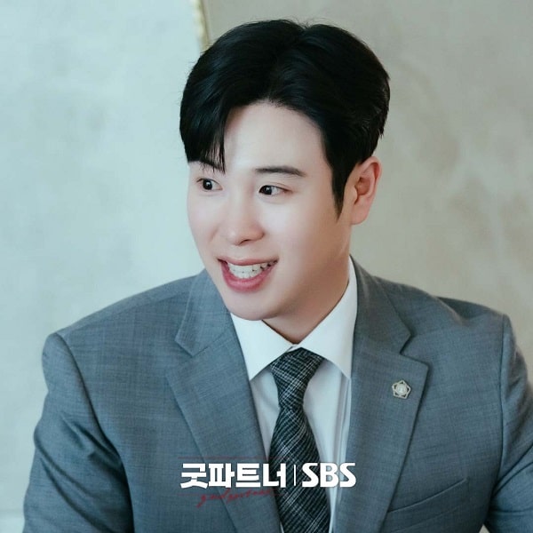 nonton streaming download drakorindo good partner sub indo viu original