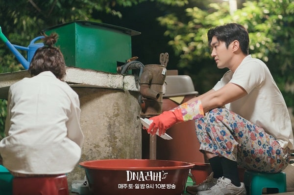 nonton streaming download drakorindo dna lover sub indo viu