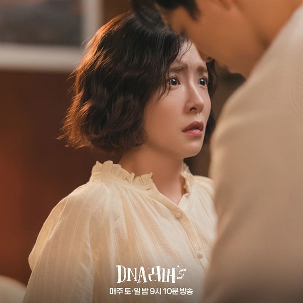 nonton streaming download drakorindo dna lover sub indo viu