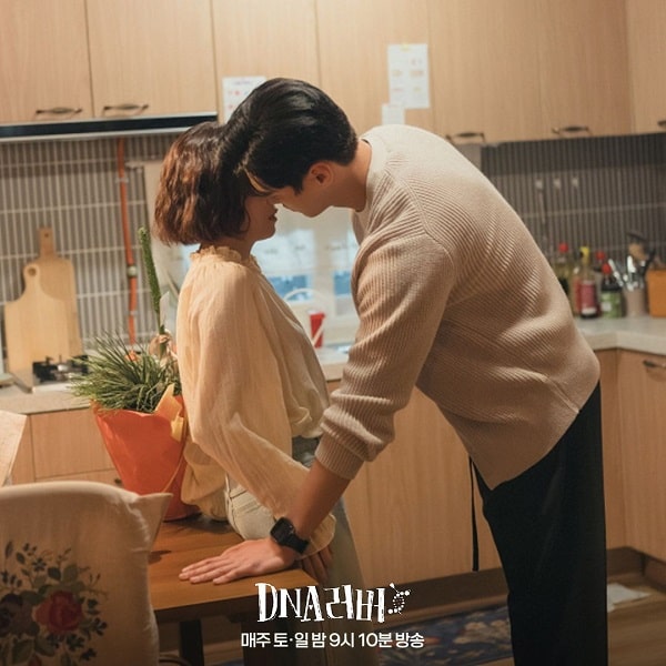 nonton streaming download drakorindo dna lover sub indo viu