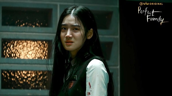 nonton streaming download drakorindo perfect family sub indo viu original